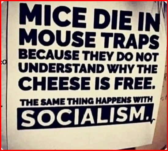 thompsonterr's tweet photo. Dear democrat https://t.co/8MxWQFb7Rf