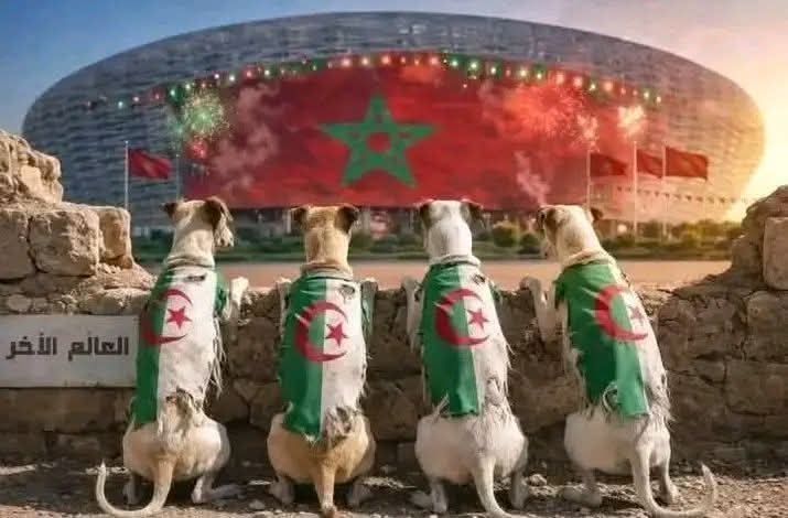 TiyaneAziz's tweet photo. @jennyoswald461 كلاب الحراسة وتقواديت والنباح في مواقع التواصل الإجتماعي كيف ديما هههههههه هههههههه https://t.co/CRAJLbewB2