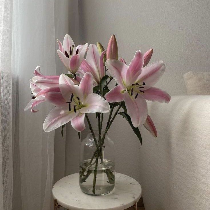 guloona_der's tweet photo. Lilies https://t.co/sDpJs6J5tz