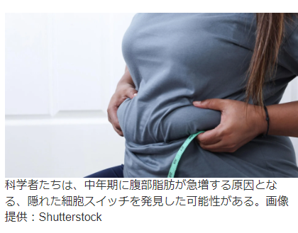 fseiichizb4's tweet photo. 2026.6.27 ScienceDaily 
中年太りは代謝の低下ではない。
加齢に伴って脂肪細胞を大量に作る幹細胞が出現する。
これが腹部脂肪が増加する原因
https://t.co/hvUn0fLra5 https://t.co/xw39swoSi0