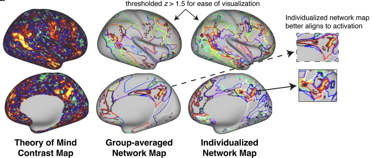 Imaging Neuroscience tweet media