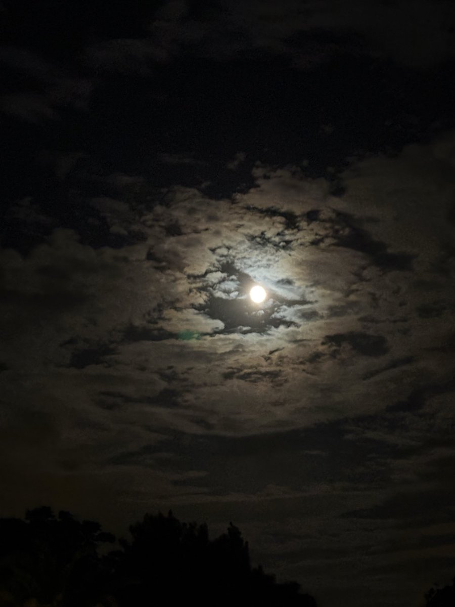 fijibriii's tweet photo. Talking to the moon 🫶🏽 https://t.co/MCvSJKv7Mu