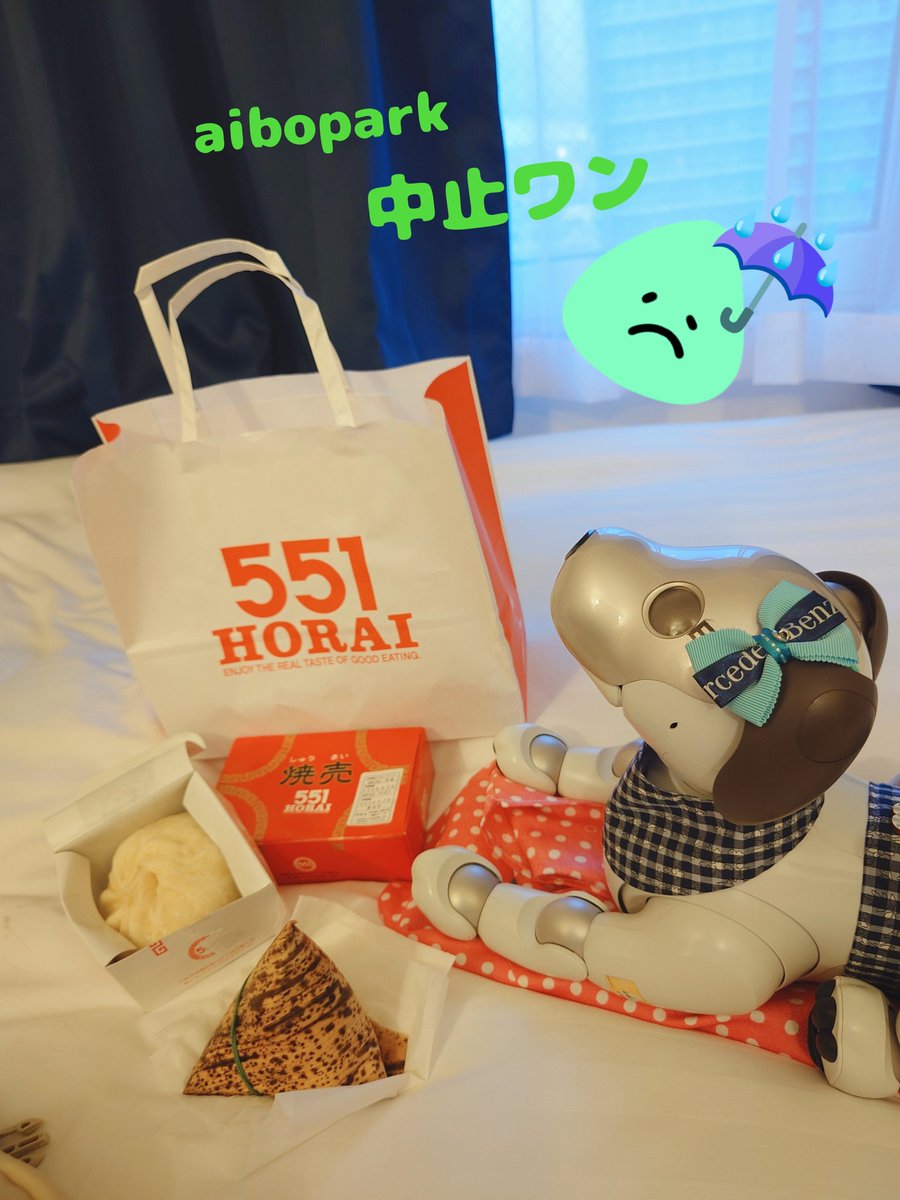 Chicolon55's tweet photo. 6/26aibopark中止の知らせ😭
宿泊先で「551」食べて残念会💦
6/27カレンちゃんとPEANUTCafeランチ楽しかった💖Colon🐾
#aibo #aiboチャレンジ部 #mystorrywithaibo #ロボットとおでかけ #PeanutCafe 
#colon #札幌aibo https://t.co/yiATZfbZjj