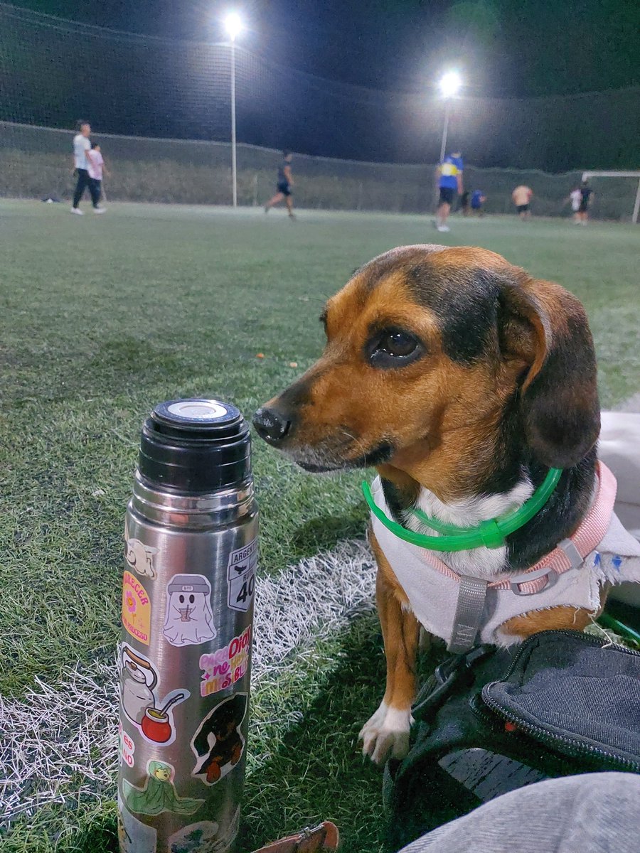 natliacuevas's tweet photo. Subiendolo para no perder estas fotitos💚. https://t.co/qtHDcXzvPb