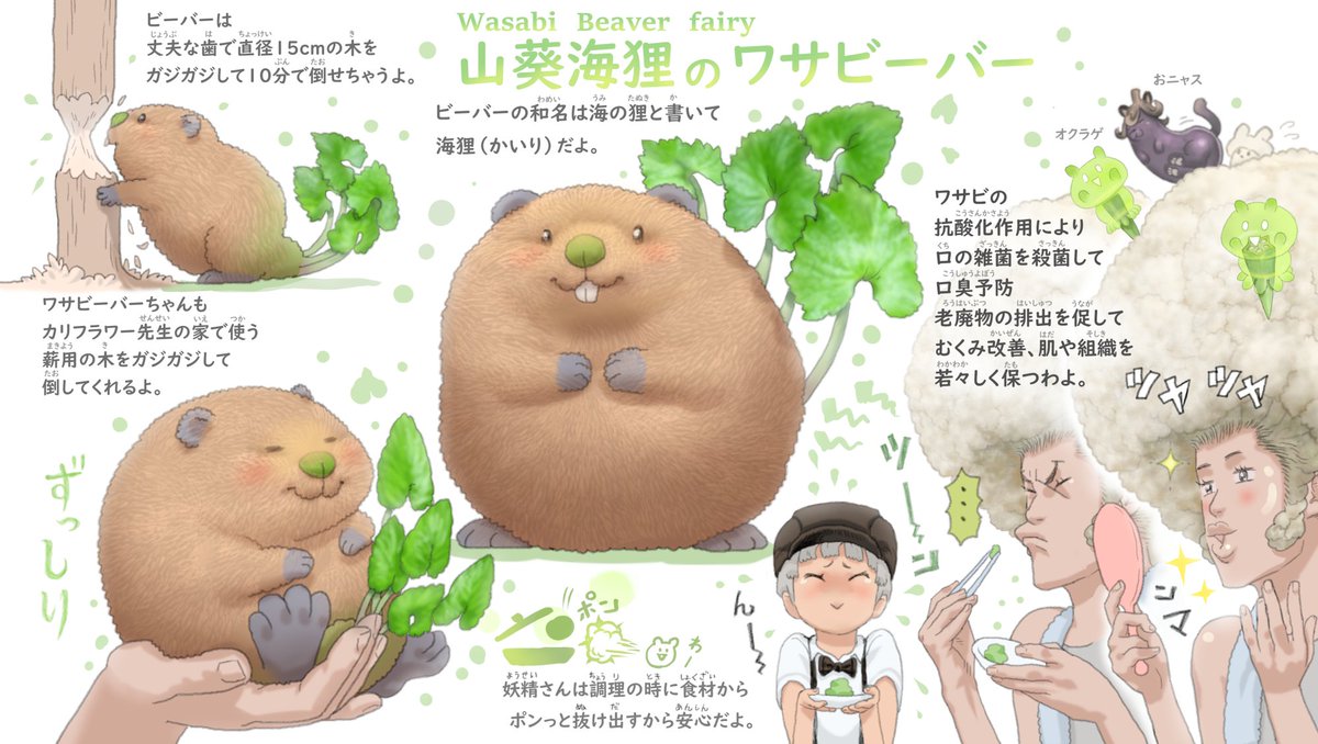 PonkichiM's tweet photo. ワサビ ビーバーの ワサビーバー🦫🥬
わさびの辛味成分には、大腸菌やサルモネラ菌、O－157、腸炎ビブリオ、黄色ブドウ球菌など多くの食中毒の原因となる菌の増殖を抑制する働きがあります。解毒作用だけでなく、抗酸化作用、血流改善作用などの効能も期待できますよ。 https://t.co/io7U0ZHvuu