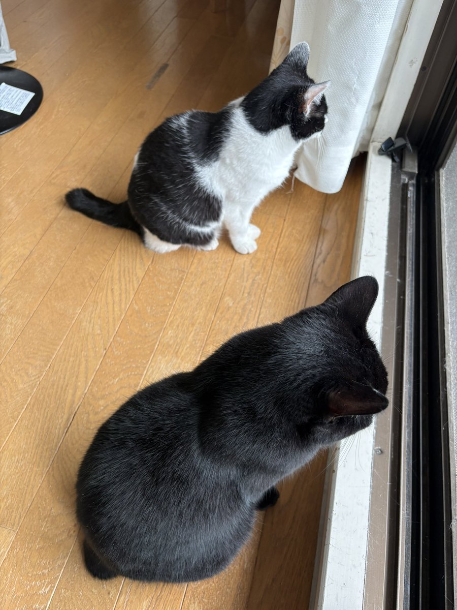 JS1BGA's tweet photo. おはようございます⛅️

波風立たず良い一日となりますように😊 https://t.co/7pr9zn1ZHc