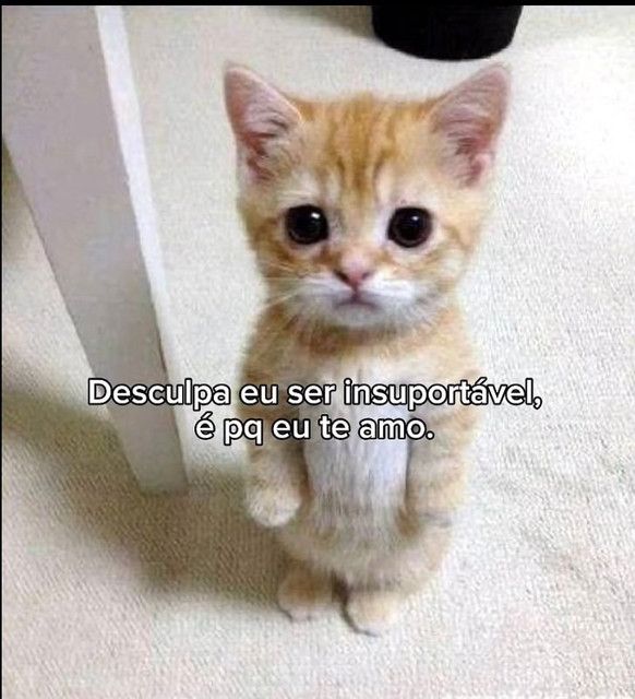 5gramasdememes's tweet photo. 😊 https://t.co/jjo3lQZUeR