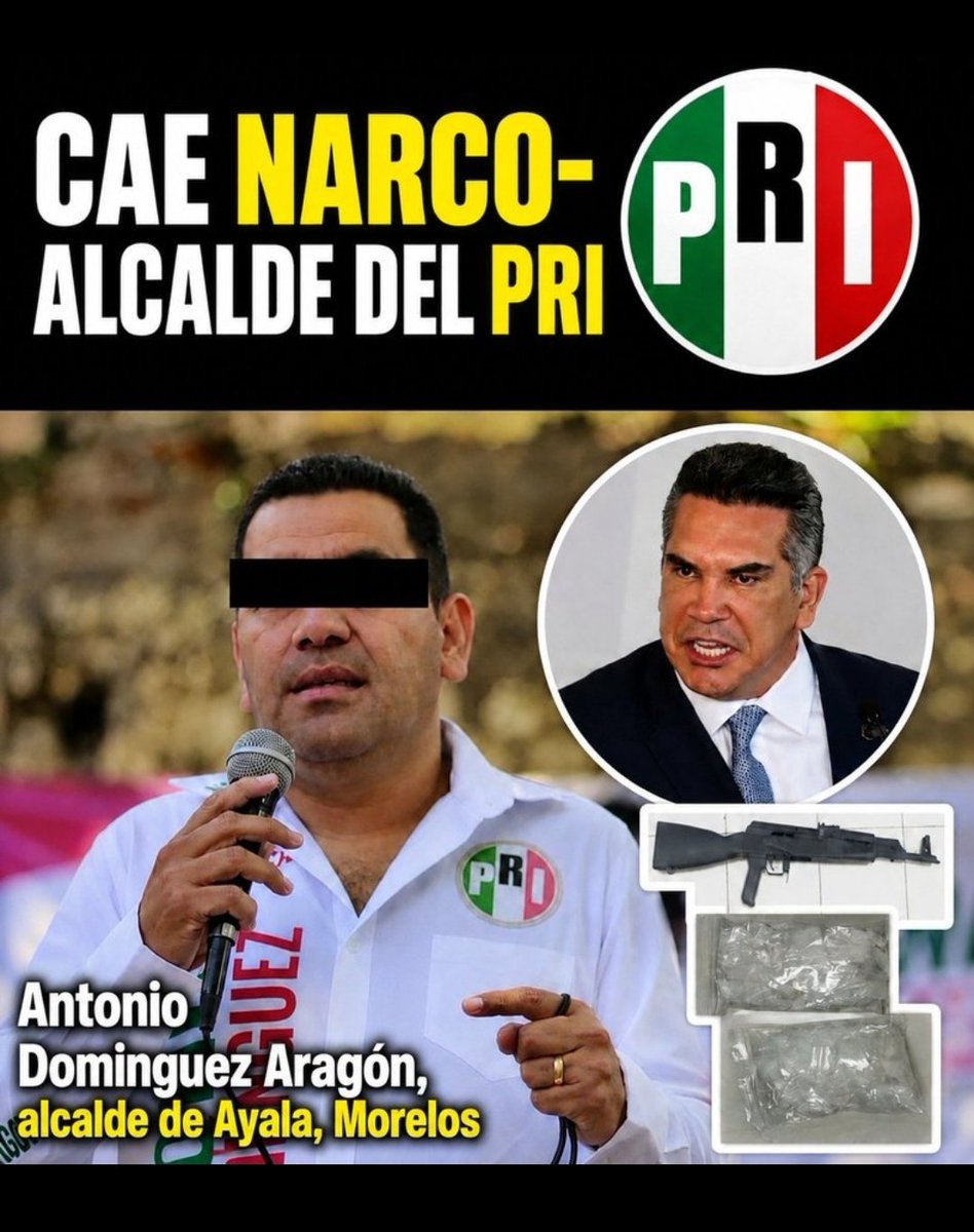 memo_mota's tweet photo. @PRI_Nacional @alitomorenoc https://t.co/FogHt3RwVO