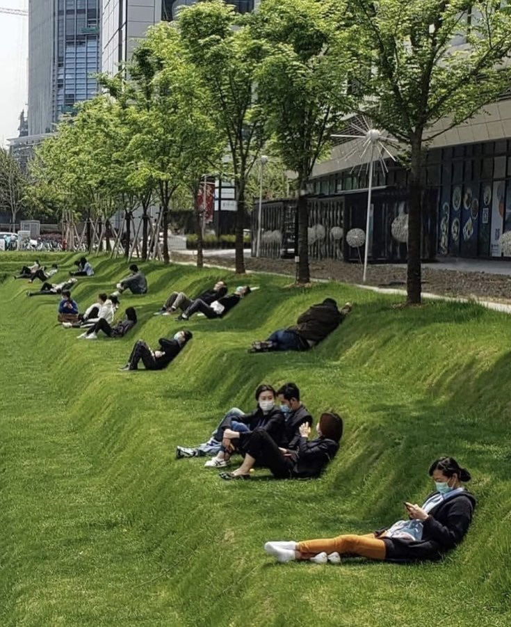 Puppieslover's tweet photo. In China, some offices have tiered lawn with trees that create shade designed for workers to enjoy their lunch break. https://t.co/iVXjifihYR