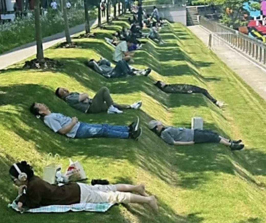 Puppieslover's tweet photo. In China, some offices have tiered lawn with trees that create shade designed for workers to enjoy their lunch break. https://t.co/iVXjifihYR
