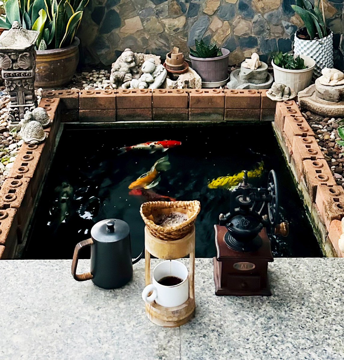 sarthit14's tweet photo. อังคารสวัสดี ใช้สติ ใช้ปัญญา นำพาชีวิต จะราบรื่นรุ่งเรือง ครอบครัวสมบูรณ์พูนสุข 🙏🏻🇹🇭 https://t.co/8LiGO8FJFm
