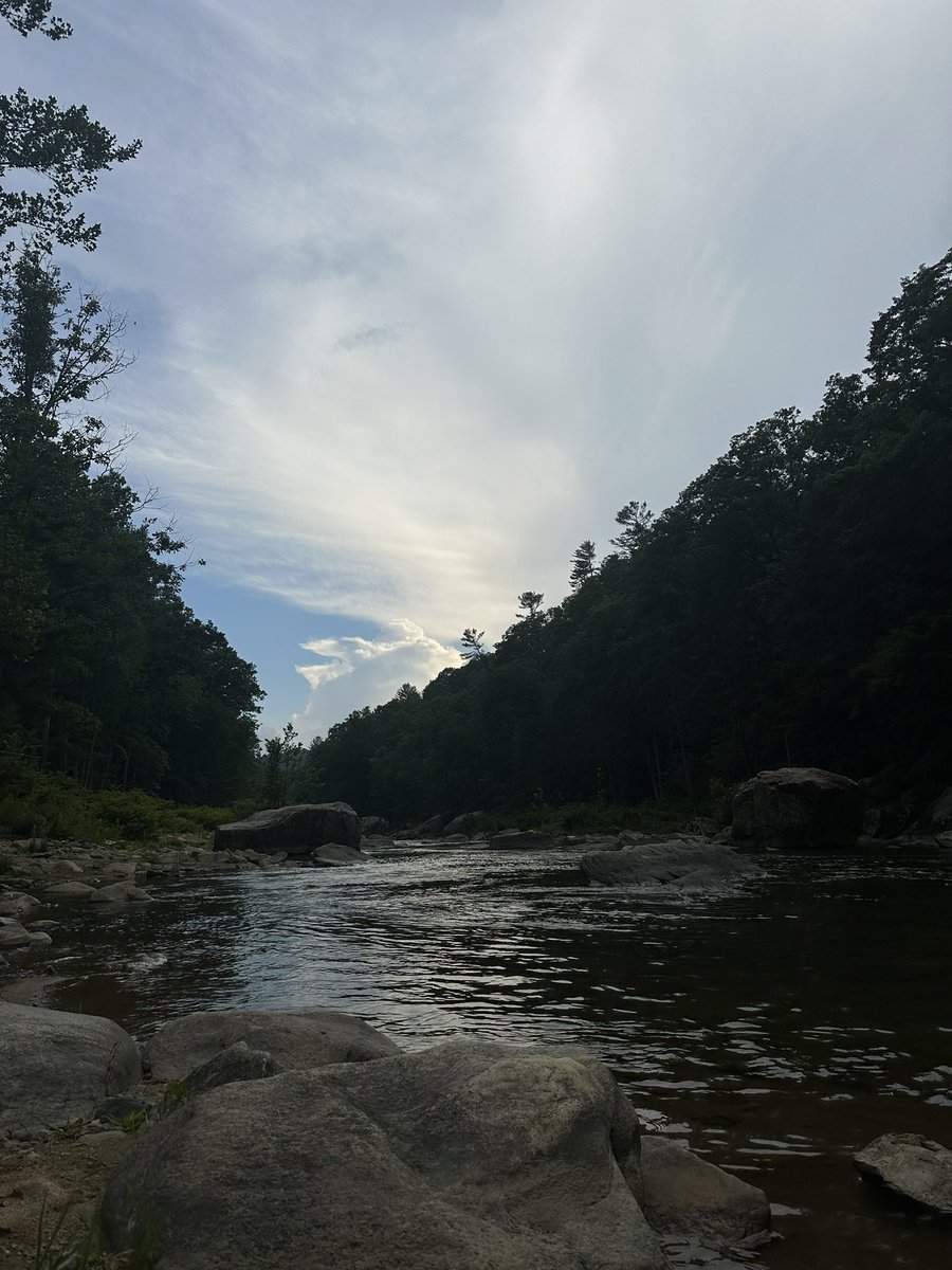 naturalightlaur's tweet photo. River  time https://t.co/LSYM0L46rf