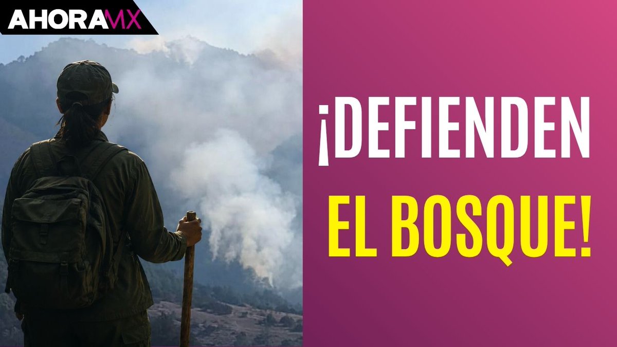AhoraMx_'s tweet photo. ⭕️#CortaFuego: Comuneros de Puebla activan brigadas contra incendios forestales

🗣️Entrevista a América Olguín, integrante del Colectivo Regional en Defensa de los Bosques y el Territorio, conformado por 19 Guido de municipios de la Sierra, Norte de Puebla (@defensabosques) 

▶️https://t.co/TL41q5rqLU