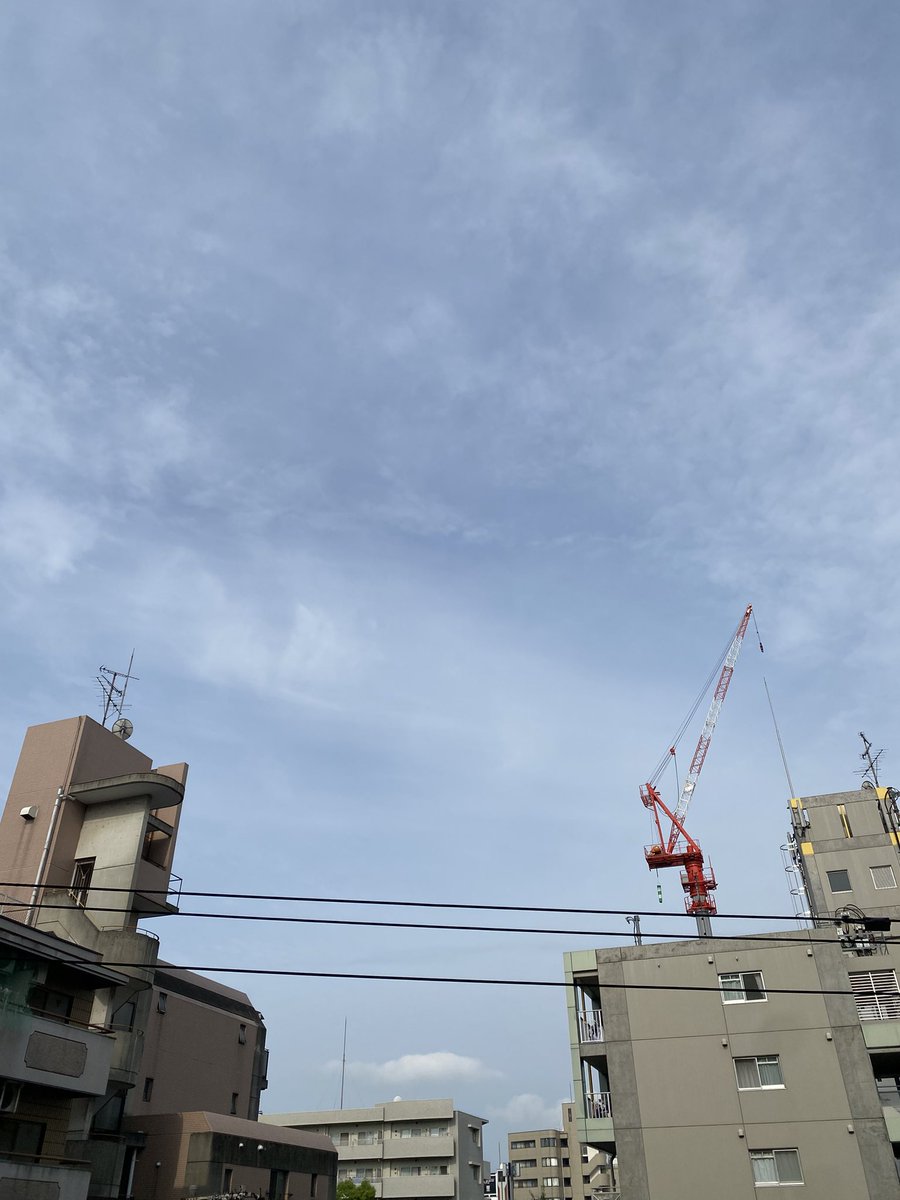 ankoemi tweet picture
