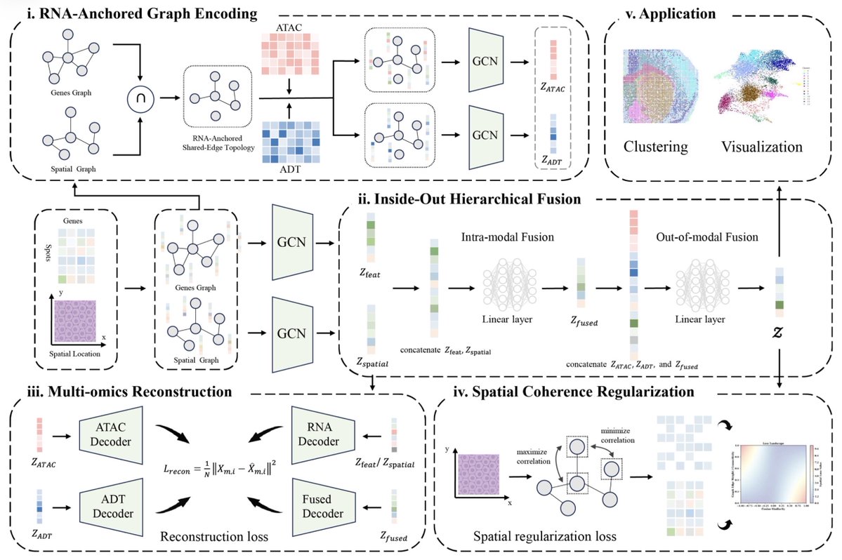 razoralign's tweet photo. ARISE: RNA-Anchored Shared-Edge Topology and Hierarchical Fusion for Spatial Multi-Omics Integration https://t.co/niCq0UXIOb https://t.co/3JiRHQ46W6