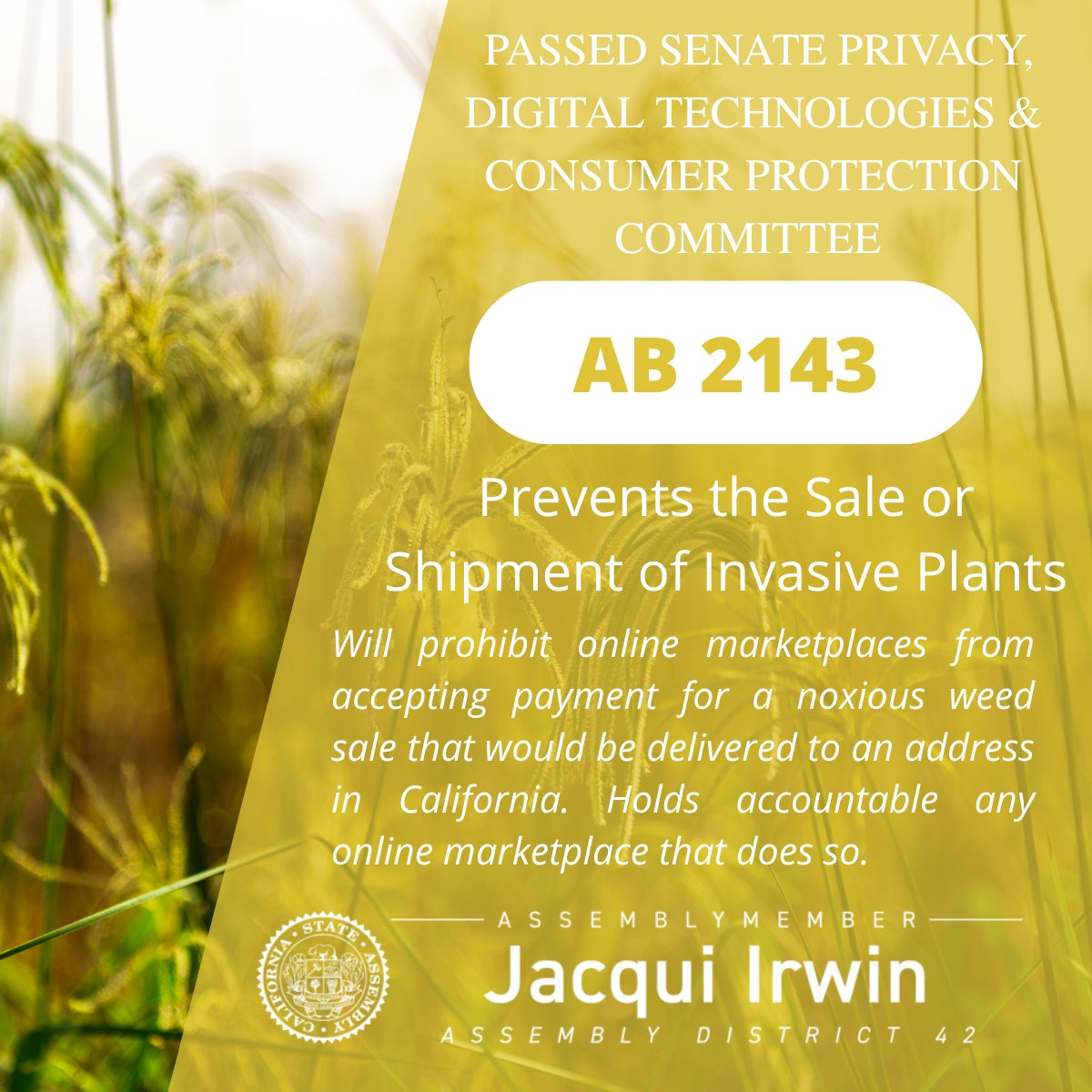 ASM_Irwin's tweet photo. #AB2143 #CALeg https://t.co/xGmToUt2AJ