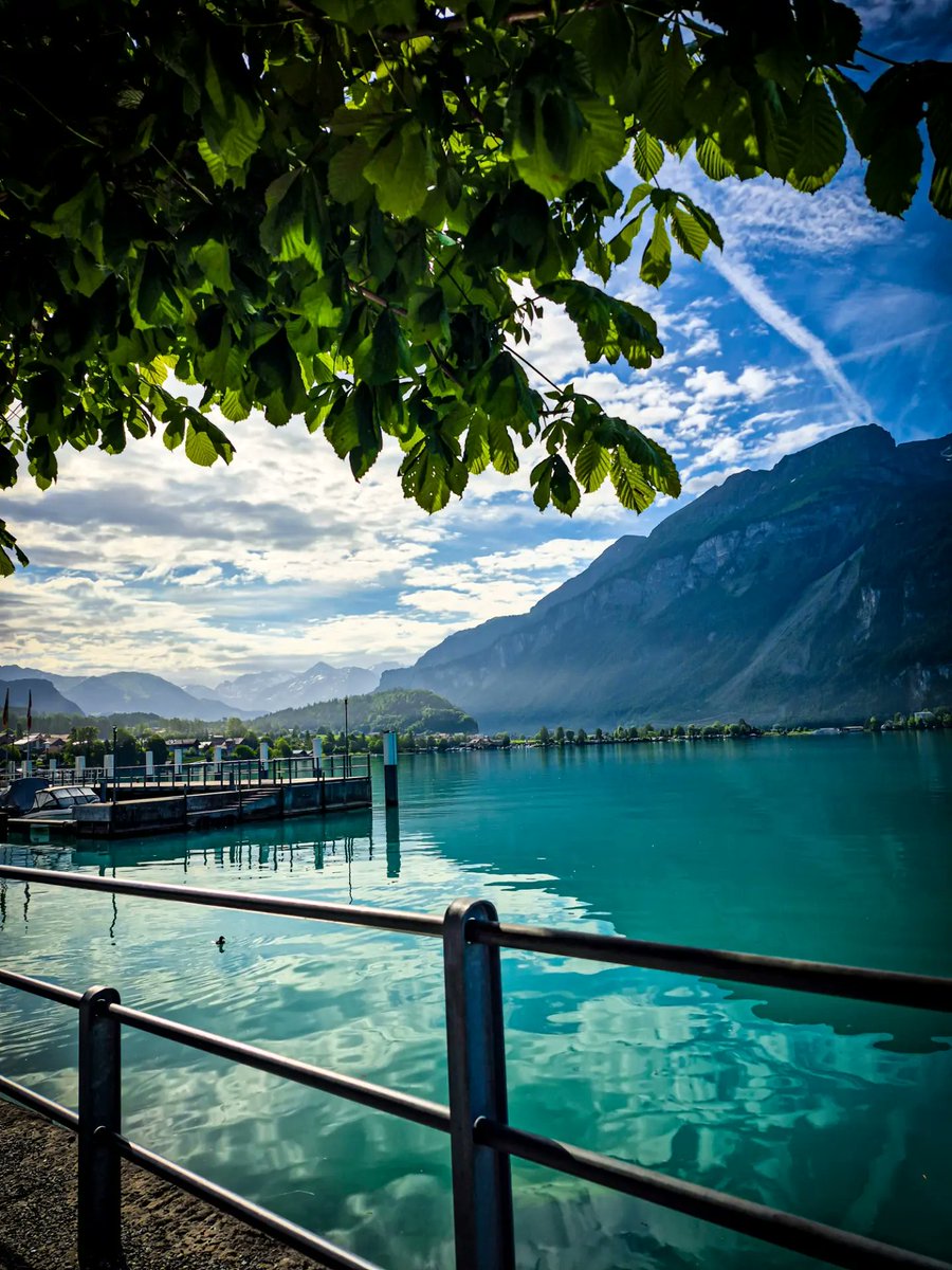 worldclick56's tweet photo. Switzerland 🇨🇭 https://t.co/D6yrVJ7jRR