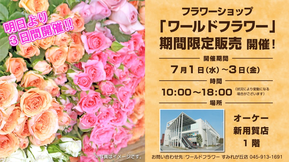 オーケー（公式） (@OK_EDLP) / Posts / X