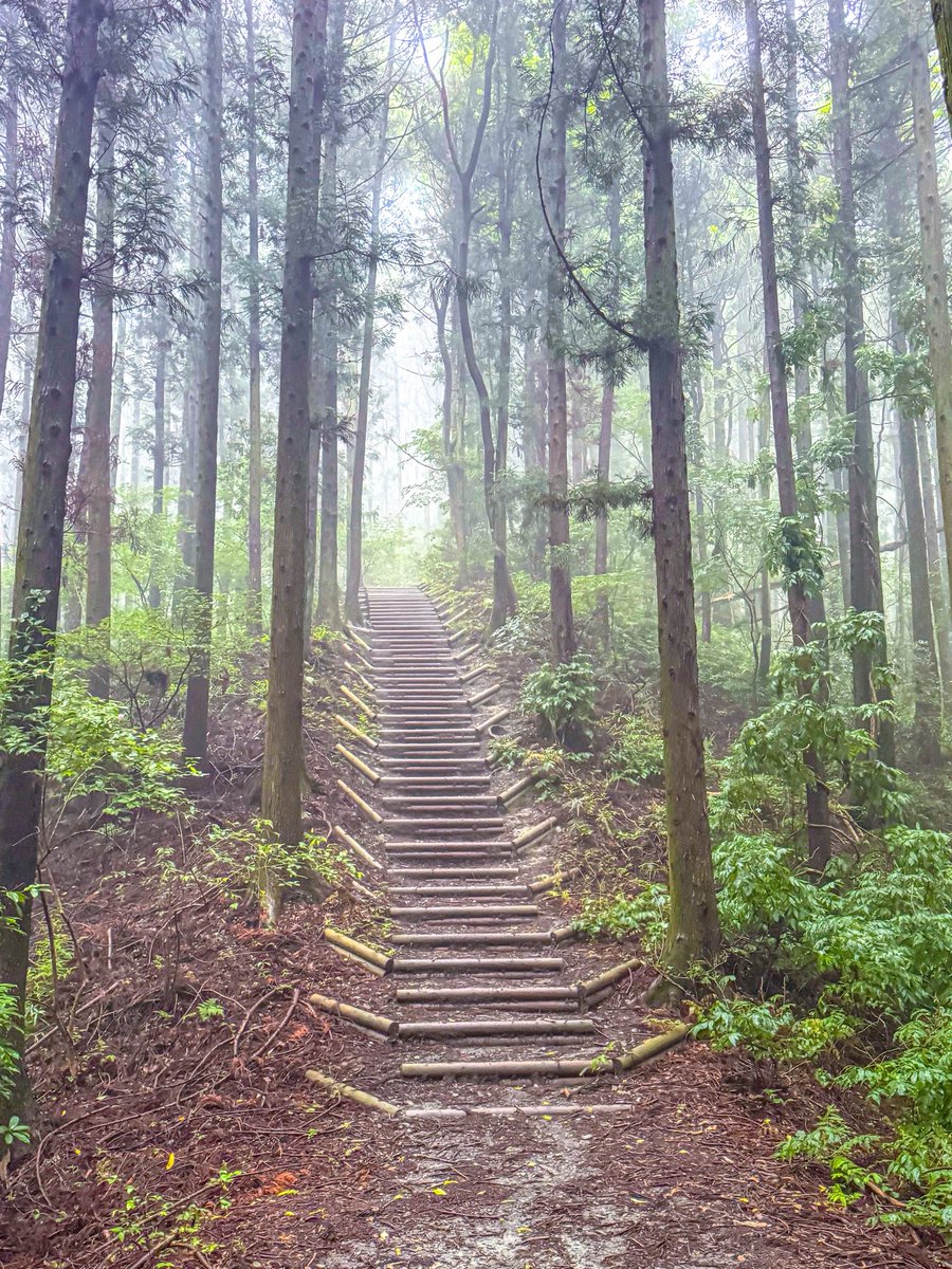 massa_0126's tweet photo. しっとりと続く梅雨の雲間を掻い潜り
半年ぶりに長瀞アルプスへ。

埼玉県秩父郡長瀞町に位置する
宝登山（標高497m）から北に延びる尾根道で、

野上峠から万福寺付近までの緩やかな山並みを
指すハイキングコースの総称。

2026年の登り初めのお山であり
近いのでトレーニングにも最適な場所です。 https://t.co/hoxdcIknjA