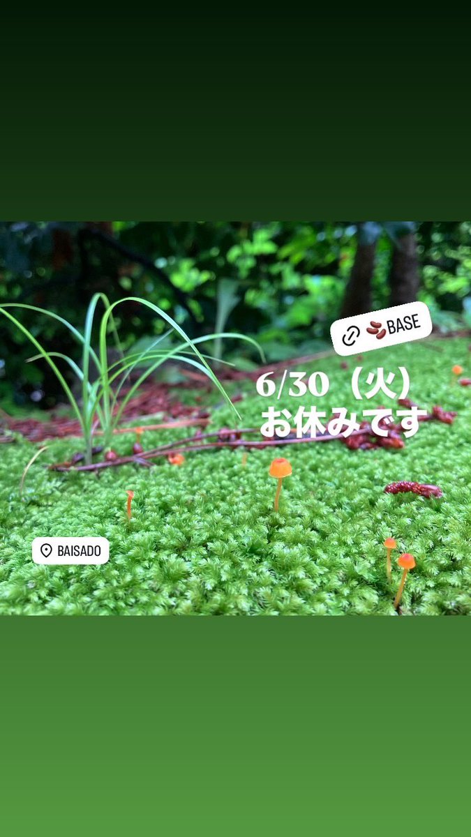 baisado_kyoto's tweet photo. 6月30日(火)
本日お休みです💤
夏越の祓えに茅の輪くぐり、これからの半年をまた健やかに過ごせますよう🍀
🫘オンラインではご注文いただけます
https://t.co/rrAWqPIJ4P
#baisado #coffee #decaf #microroastery #kyoto #夏越の大祓 #茅の輪くぐり https://t.co/Zz8dxfeGwb