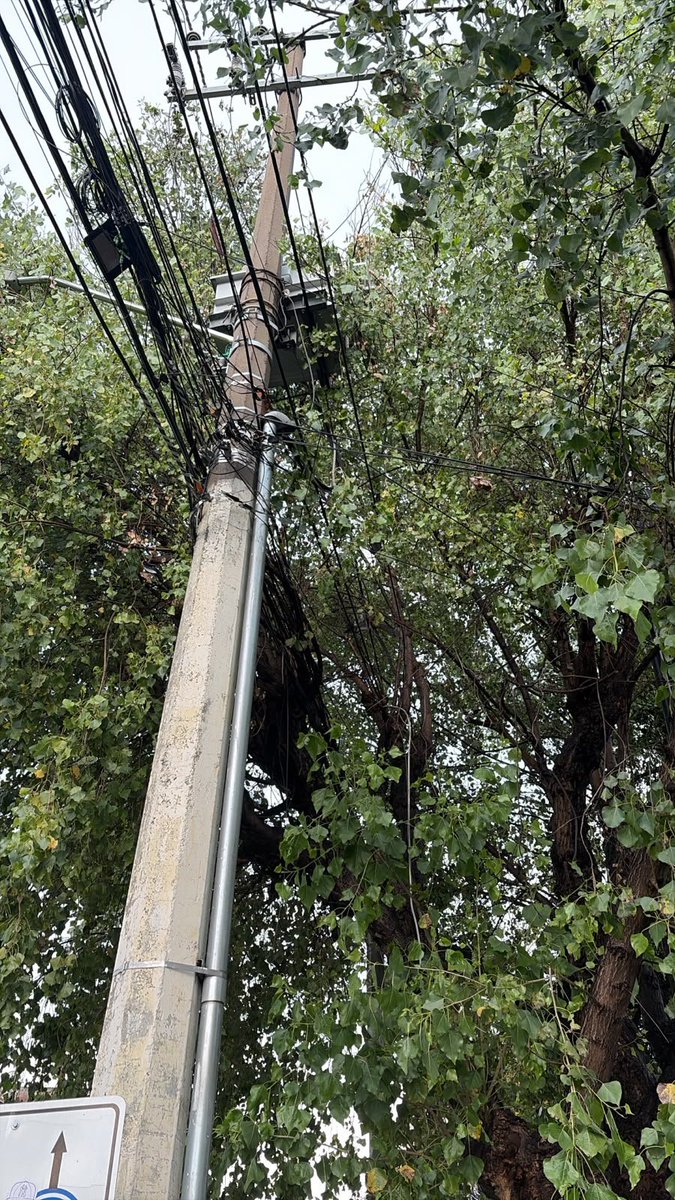 quesariflesqro's tweet photo. @CFE_Contigo Sin luz desde el sábado!!
P0906763183
P0906763597

https://t.co/xNNSB1zQIK https://t.co/MG1TlGwdLc