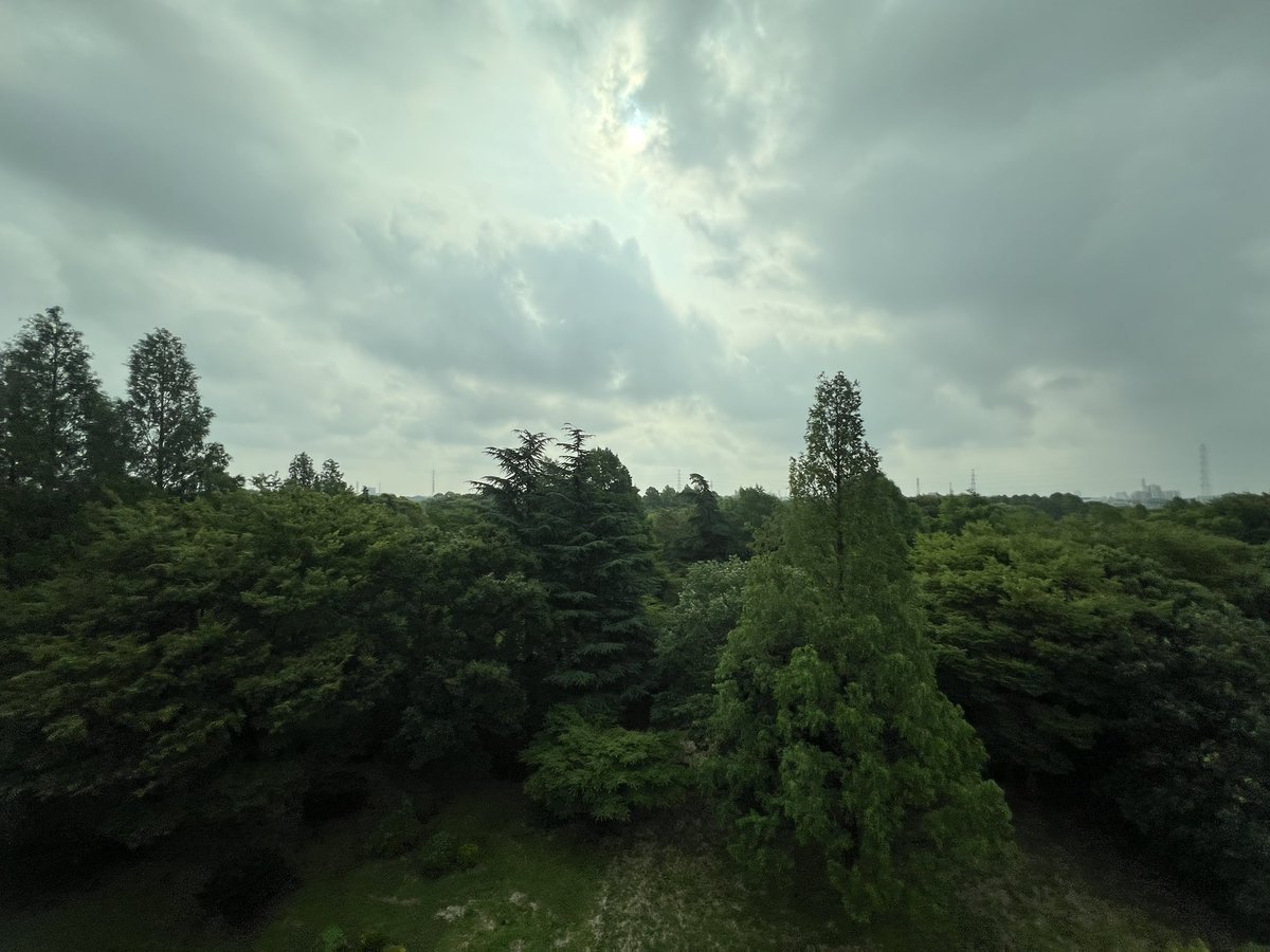 miki_mfb's tweet photo. 曇りです☁️ https://t.co/ZxVJApHR3H