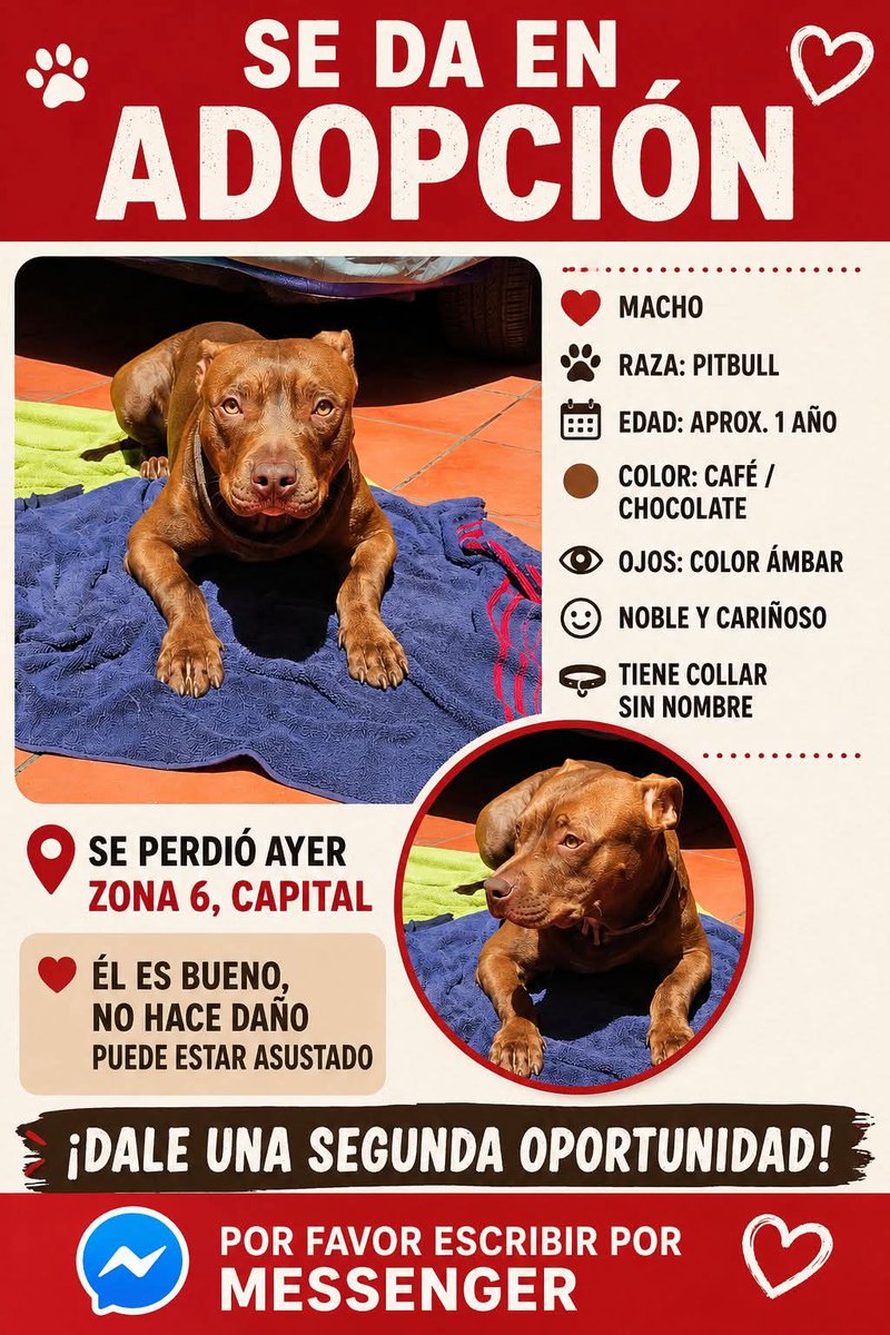 guatexanimales2's tweet photo. #repost https://t.co/oaffSQ0ZZl