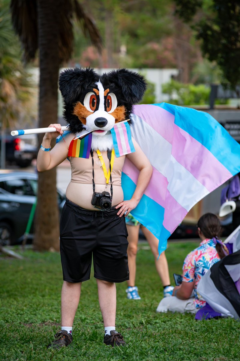 fatfeet420's tweet photo. BITCHES CAN'T HANDLE MY TRANSGENDER SWAG

📸 Bob the Coyote https://t.co/npldv1XOVP