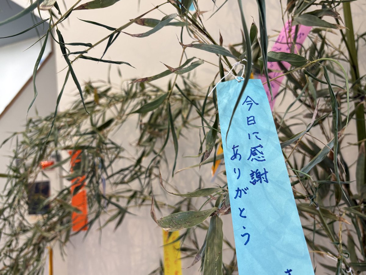 Gochamaru_koura's tweet photo. 恒例の七夕飾り
今年も様々な願い

また歩けるようになりたい
野菜がおいしく育ちますように
大会で勝てますように

今日に感謝
ありがとう

願いより日々の感謝
そんな方もいる

＃ごちゃまるクリニック
＃じっくらあと
＃七夕
＃令和6年能登半島地震
＃奥能登豪雨
＃能登はやさしや土までも https://t.co/LWlceYkvko
