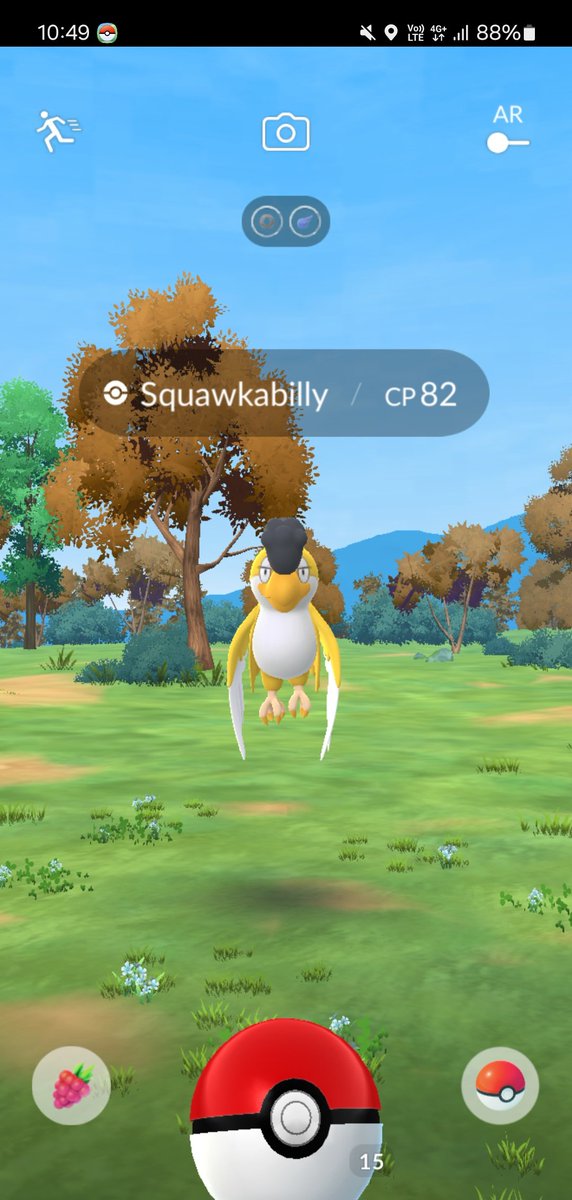 AKiwiIsNotAFru1's tweet photo. Squawkabilly available in wild on Tuesday morning, after Flying Taxi event ends https://t.co/2OSkLIIGwF