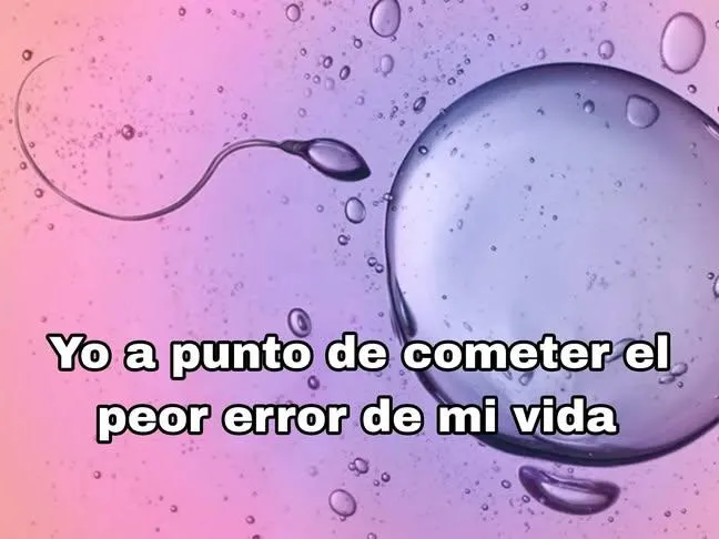 MsCiencia2's tweet photo. XD https://t.co/RSt3HQz1on