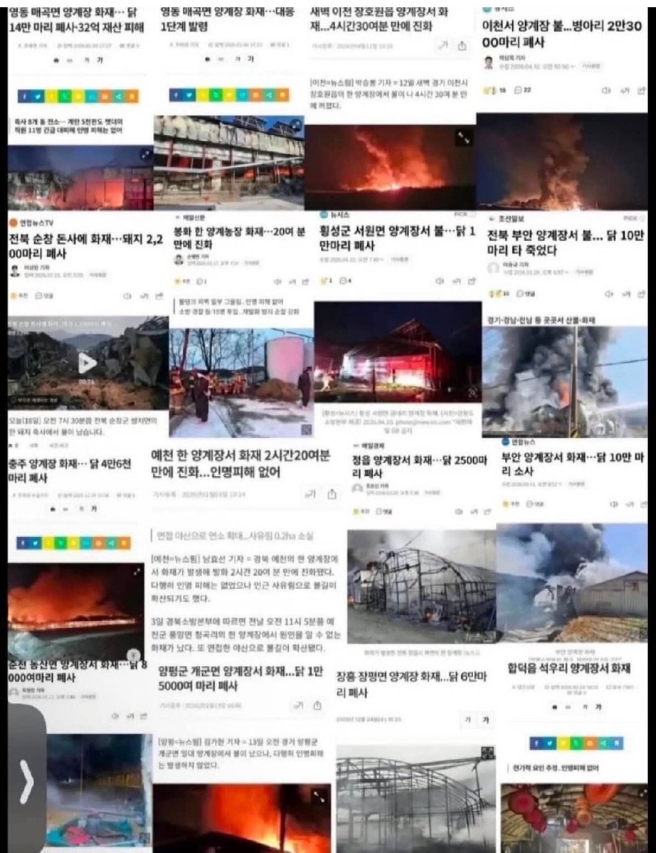Truthmind2's tweet photo. 🚨계란이 진짜 필수 인데
     그 나라에서 테러놨네🚨 https://t.co/viVBhOOa1s