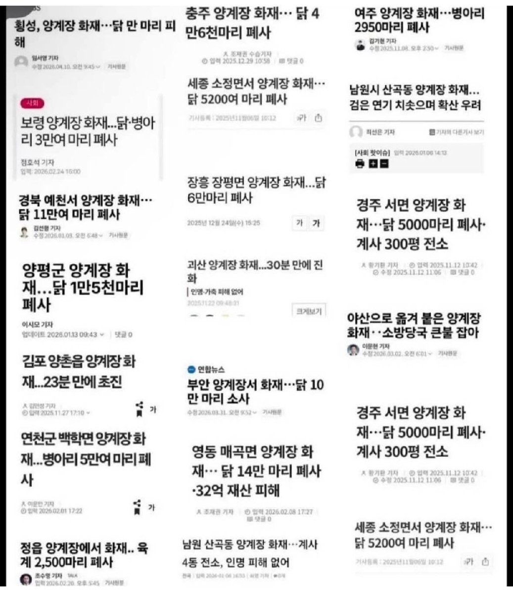 Truthmind2's tweet photo. 🚨계란이 진짜 필수 인데
     그 나라에서 테러놨네🚨 https://t.co/viVBhOOa1s