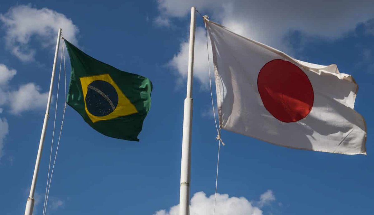 BRAZUCA-ブラズーカ tweet media