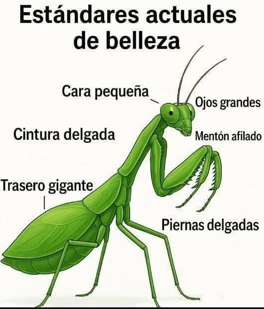EnsedeCiencia's tweet photo. XD https://t.co/6ATcWpm5De