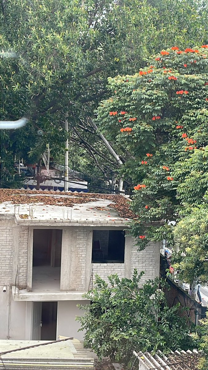 ElleRupmar87's tweet photo. @CFE_Contigo @CFEmx @BJAlcaldia requerimos su apoyo en calle Centenario esquina con Antonio Rodríguez, Col. San Simón Ticumac, un poste se partió, está sostenido por un árbol, de pronto con el aire hace corto, de hecho no tenemos luz ¡Urge! Porque puede caer sobre casas o coches https://t.co/bU5nSWUWWI