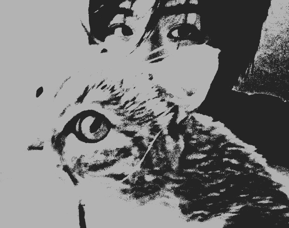 PARENIDADES's tweet photo. ᅟ ᅟ ᅟ ͏ ͏ ͏ ͏ ͏ ͏ ͏ ͏ ͏ ͏ ͏ ͏ ⠀⠀ ⠀⠀⠀⠀⠀ ⠀ ⠀ ⠀⠀⠀⠀⠀⠀⠀⠀⠀ 

ᅟ ᅟ ᅟ ͏ ͏ ͏ ͏ ͏ ͏ ͏ ͏ ͏ ͏ ͏ ͏ ⠀⠀ ⠀⠀⠀⠀⠀ ⠀ ⠀ ͏ ͏ ͏ ͏ ͏ ͏
ᅟ ᅟ ᅟ ͏ ͏ ͏ ͏ ͏ ͏ ͏ ͏ ͏ ͏ ͏ ͏ ⠀⠀ ⠀⠀⠀⠀⠀ ⠀ ⠀ ⠀⠀⠀ https://t.co/qeKKwydKXH