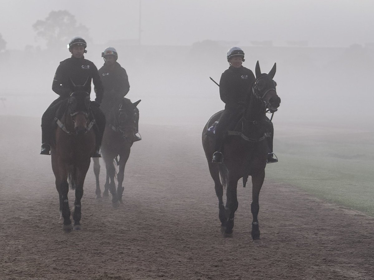 Chris Waller Racing tweet media
