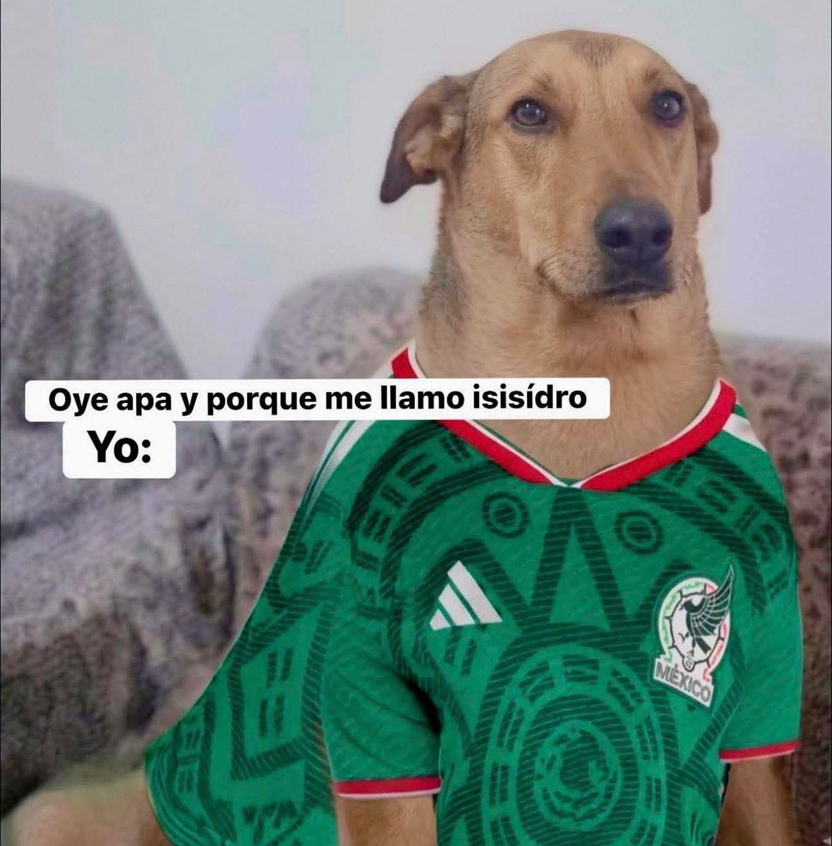 Icaroflay's tweet photo. @miseleccionmx Vamos cabrones!!!🇲🇽 https://t.co/ZyzXl40u8q