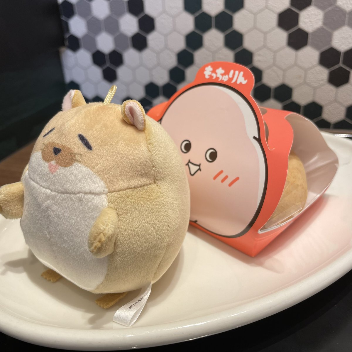 ku_8014's tweet photo. もっちゅりんとさちお🐹

 #ごちそうωはチュウと鳴く https://t.co/Onurd1skRB
