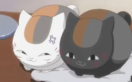 Post by 神風のぞみん on X: にゃんこ先生