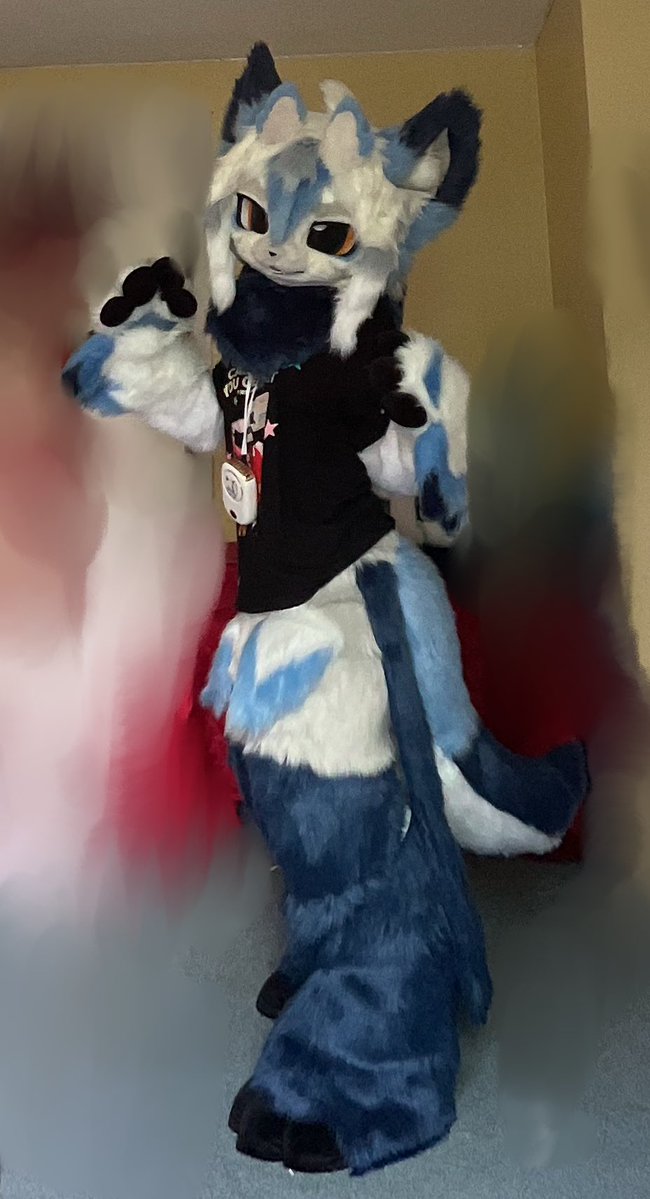 matchausen's tweet photo. still selling my 3/4ths suit for $1300 USD :’-) buyer must pay shipping + tariffs if outside usa
3rd img for more info #fursuitforsale #kemonofursuit #fursuit #fursuiteveryday https://t.co/xzQRs7yovI
