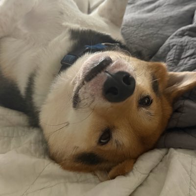 MeMosca1's tweet photo. #NewProfilePic https://t.co/qL64vWtf4Z