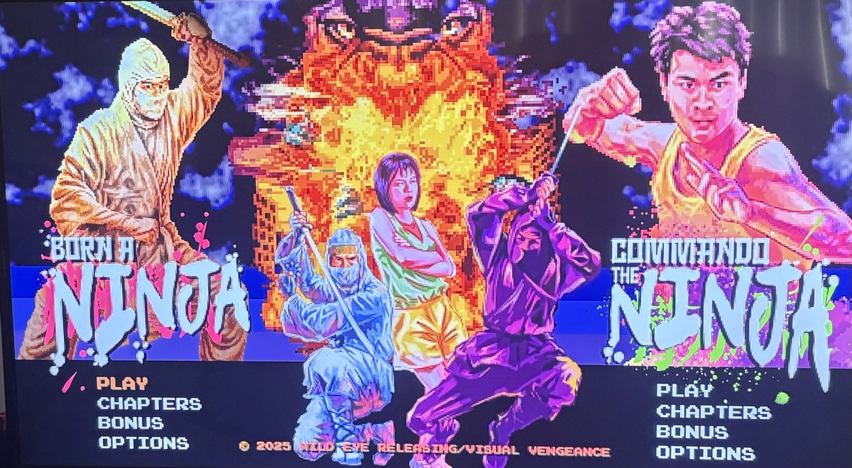 thecrowsayskaw's tweet photo. #NowWatching Tonight’s #BrainDamage is Born a Ninja. https://t.co/xI3FWLSTRu