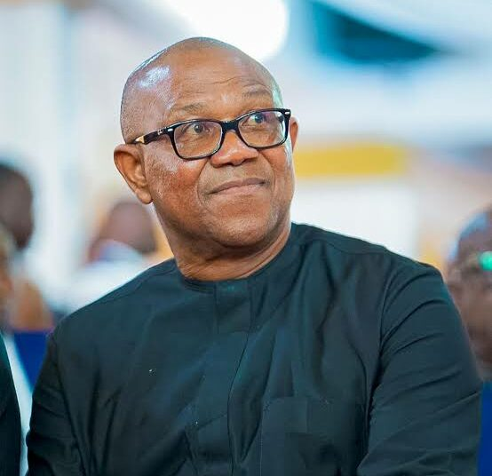 ParallelFacts's tweet photo. JUST IN: INEC Bows To Pressure, Uploads Peter Obi’s Name On Its Portal https://t.co/MfBCiyt4lM https://t.co/QDWqbWgPzm