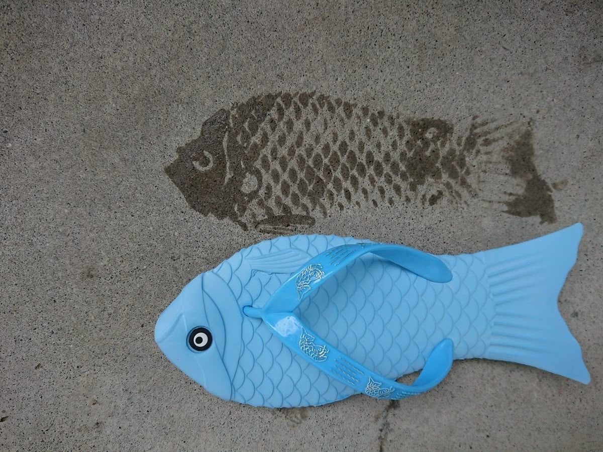 RaminNasibov's tweet photo. 🐟 https://t.co/KaeyESf45j