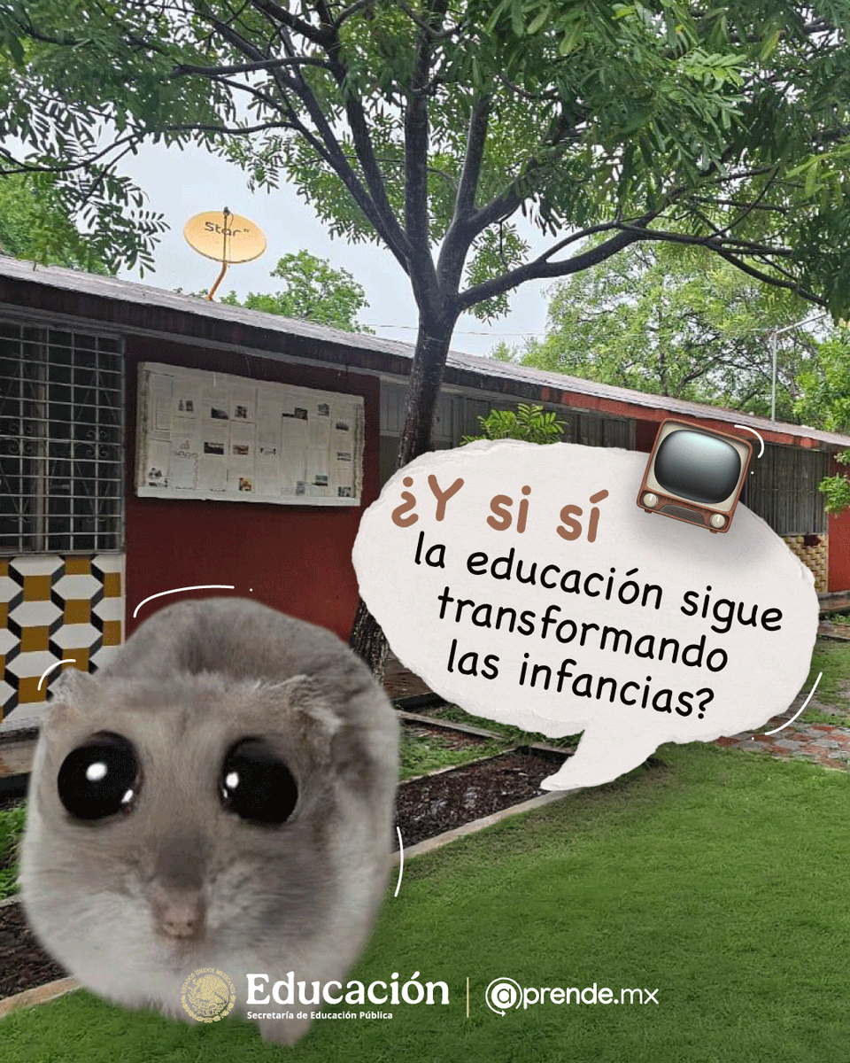 aprende_mx's tweet photo. La #educación se construye acercando oportunidades a cada rincón del país. 📡✨
A través de la #RedEdusat, trabajamos para que más estudiantes tengan acceso al conocimiento. https://t.co/fQLlU2CZVo
