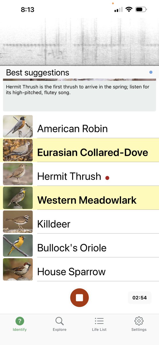 208winning's tweet photo. @ClarksonsFarm1 @MerlinBirdID The app works great!  
Idaho, USA 🇺🇸 https://t.co/aoDN1Ibnsx