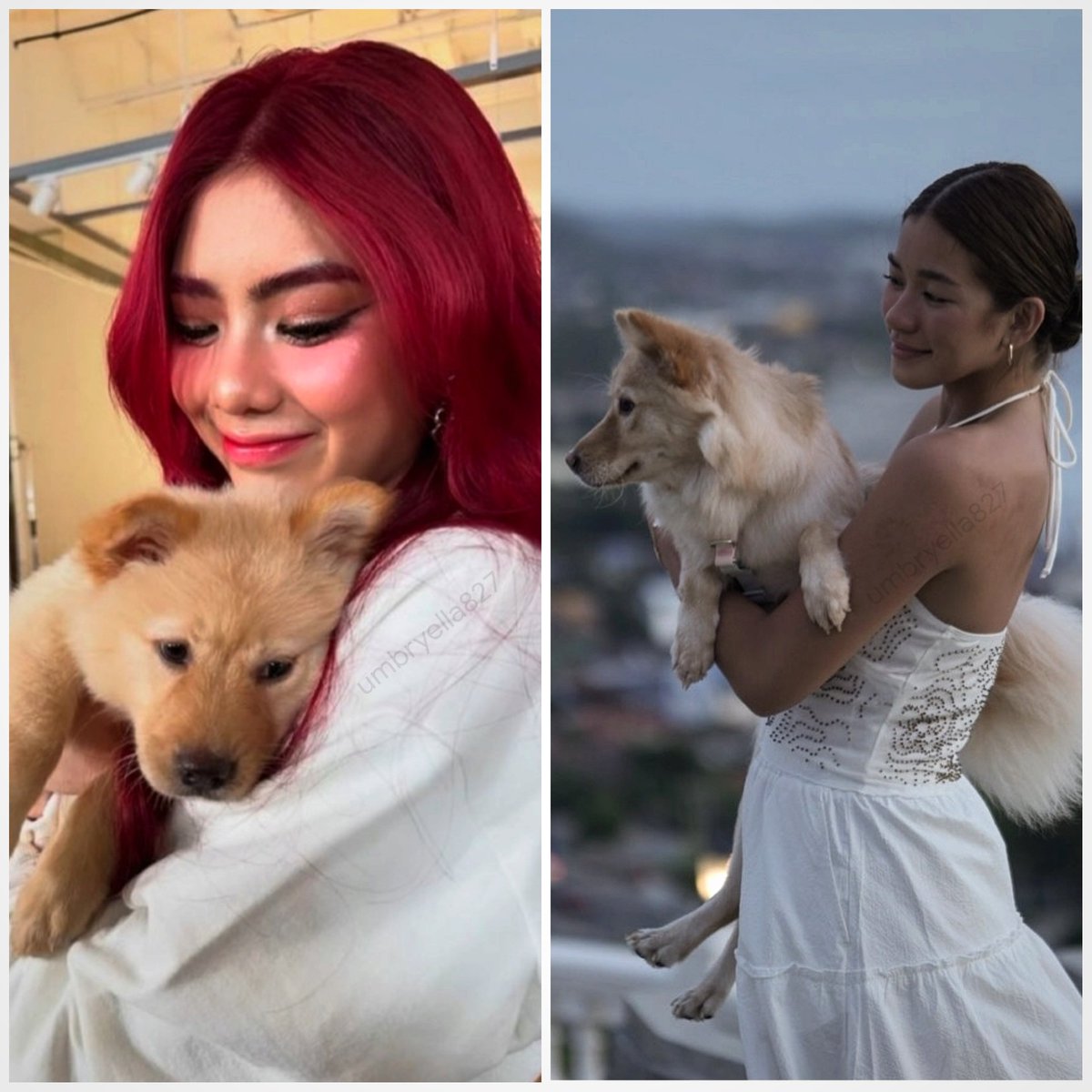 umbryella827's tweet photo. Grabe noh, bilis ng oras at panahon. Laki na ni Honey, kulay red pa yung hair. 💗

 ayy haha jk. 
#MIKHAIAH #HONEY 💗 https://t.co/iDnmNBi1AG