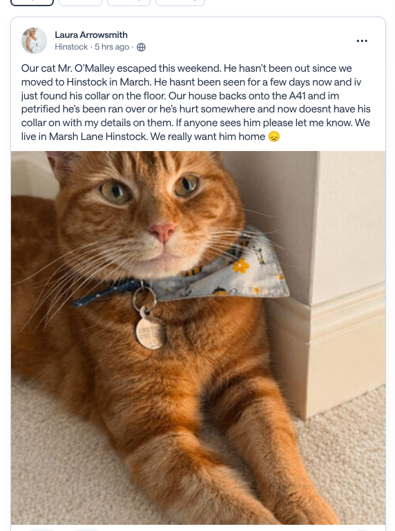 DeniseAnJackson's tweet photo. #Ginger #cat Mr O'Malley has been #missing for a few days from his home in #Hinstock #Shropshire #TF9. Please look out for him and please check sheds, garages etc. More details on Nextdoor: https://t.co/iugMuJD37G
